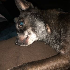 Meet your Posher, Angie